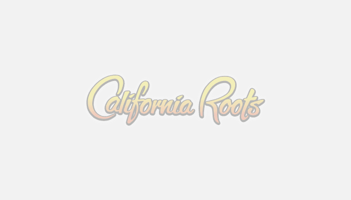 Non-Profits Form