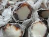 Image of Coconut