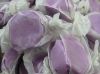 Image of Grape