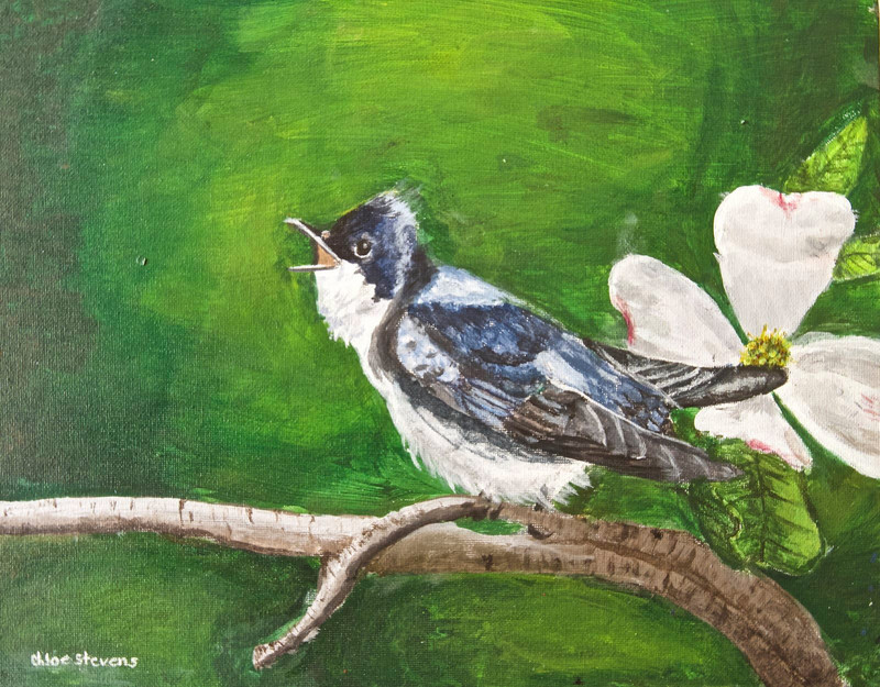 Image of Spring Song Acryliconpanelby Chloe Stevens 800 625 20250903124156