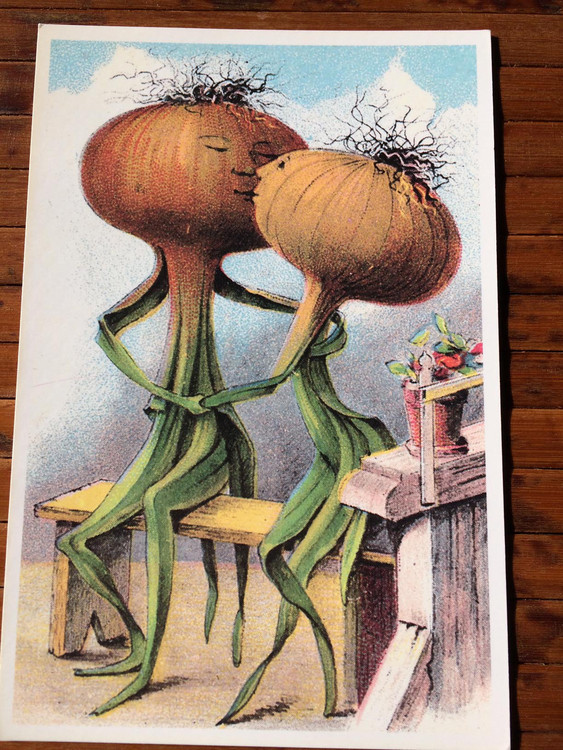 Image of Onionssm 563 750 20250903120238
