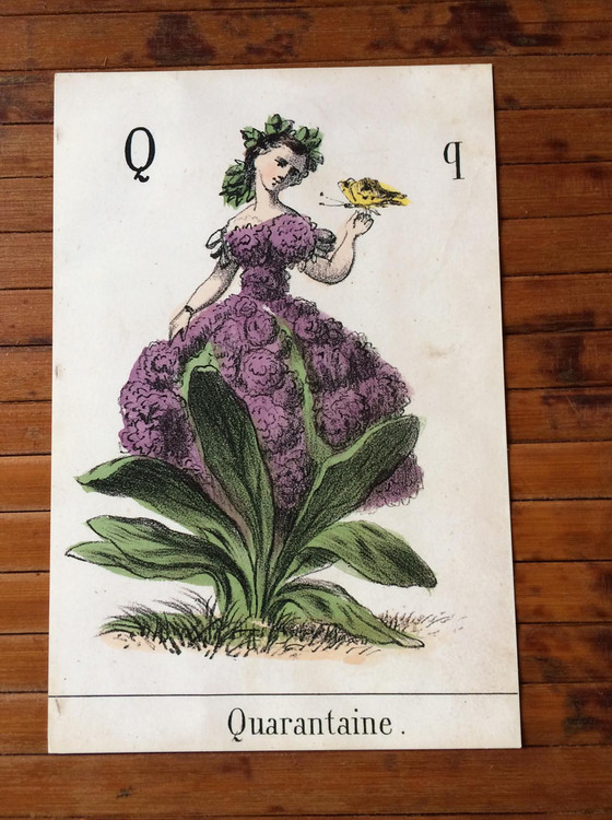 Image of Postcardresized 560 750 20250903115041