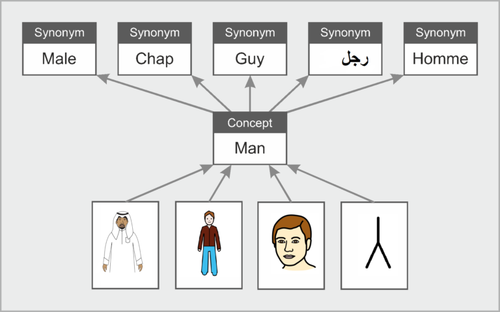 At the bottom of the image are four different graphic depictions with arrows pointing to the concept of "man." Arrows point from the concept to synonyms including male, chap, guy, and words in other languages.
