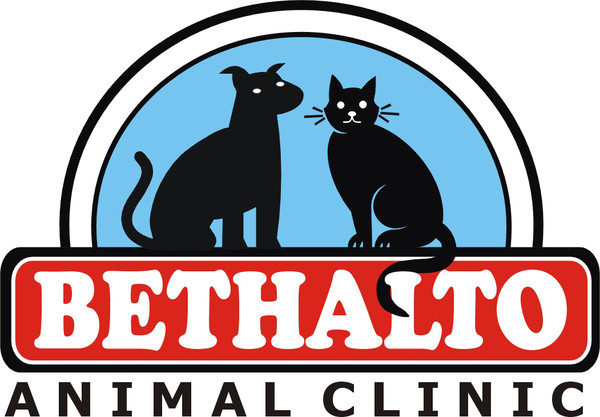 Image of Bethalto Animal Clinicthreecolor Logo 600 417 20251228075235