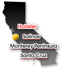 Hollister CA Taxi Service Yellow Cab Company